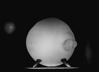Illustration for article titled The camera that captured the first millisecond of a nuclear bomb blast